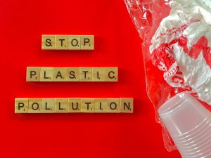 How to live sustainably